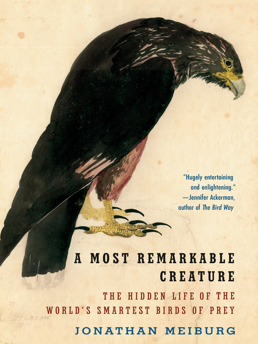 Title details for A Most Remarkable Creature by Jonathan Meiburg - Available